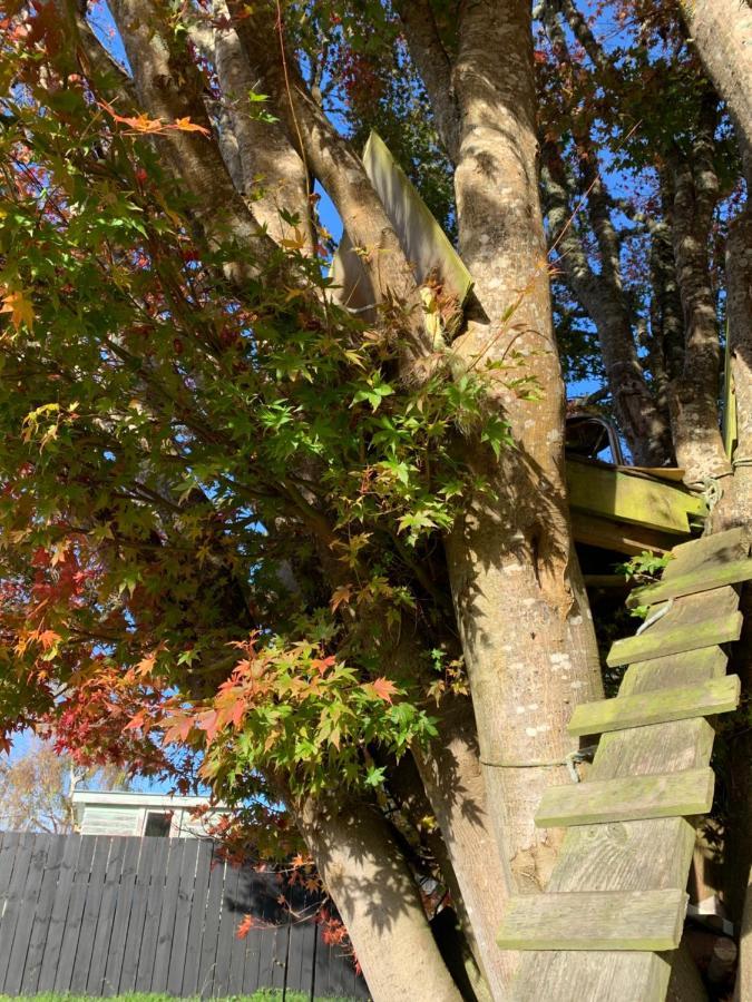 Moore St Cottage オハクネ エクステリア 写真